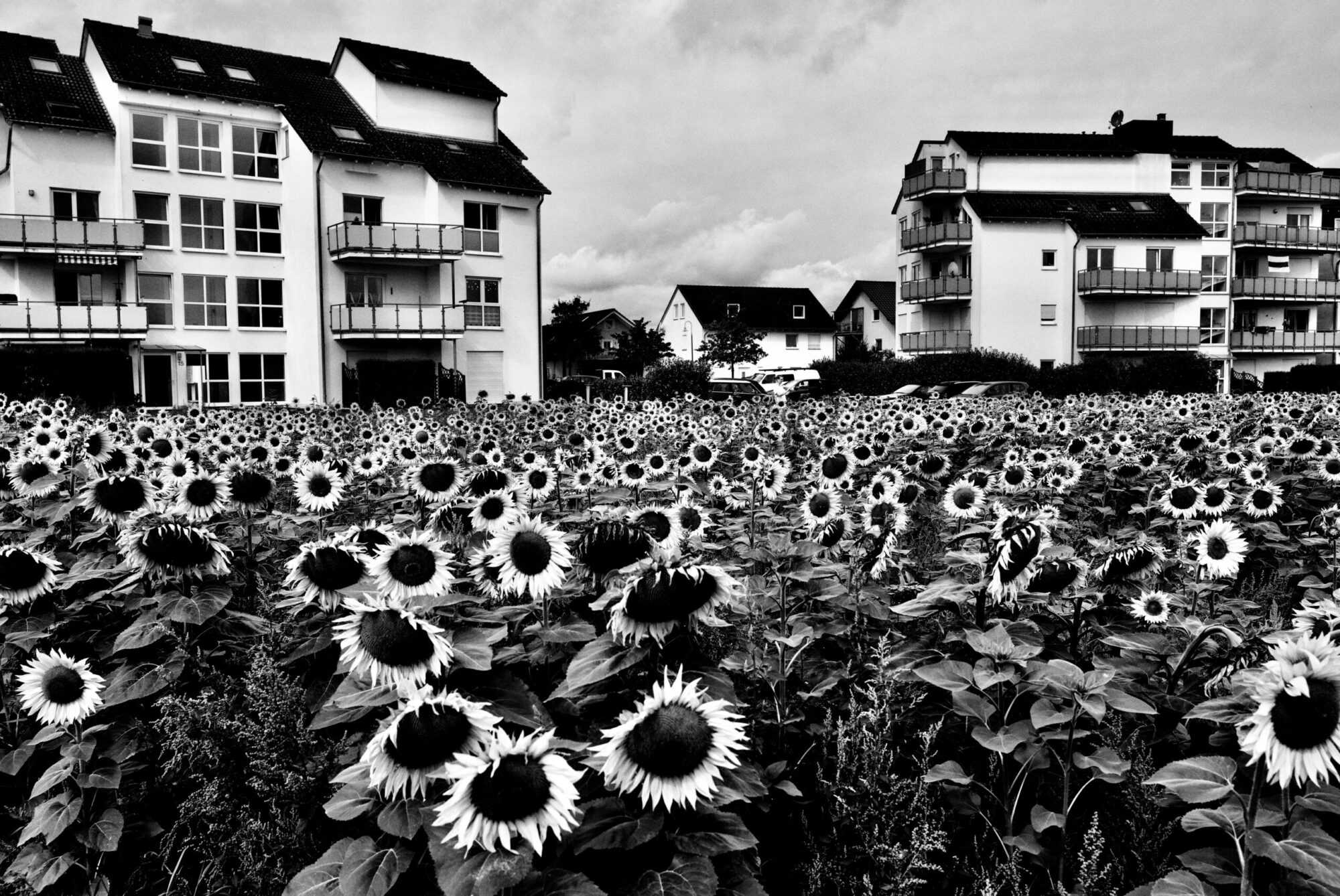 Schwarz-Weiß-Aufnahme mit Leica Q2 Monochrom aus Limburg Diaries